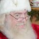 Santa Ron Jolly Elf